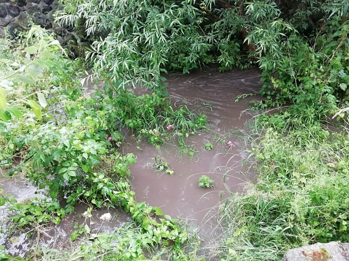 Jílové u Děčína