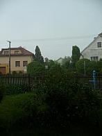 Třibřichy