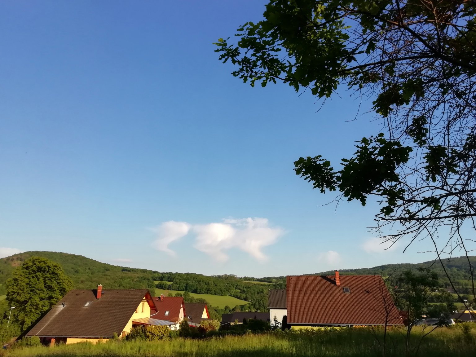 Jílové u Děčína