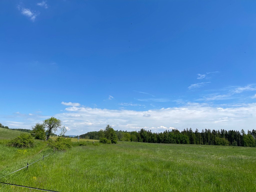 Levínská Olešnice