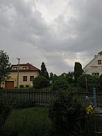 Třibřichy
