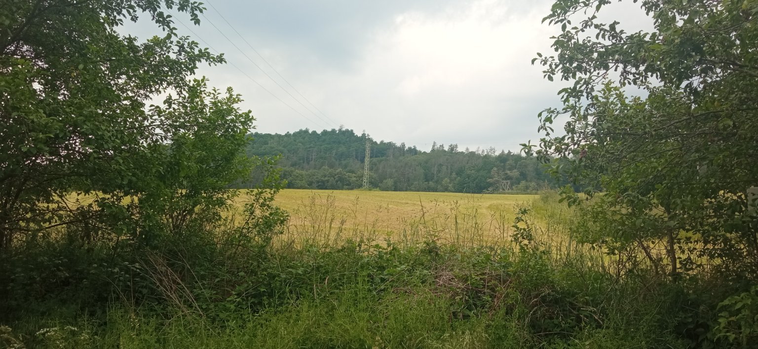 Cholín-Boubovny(Sedlčansko)