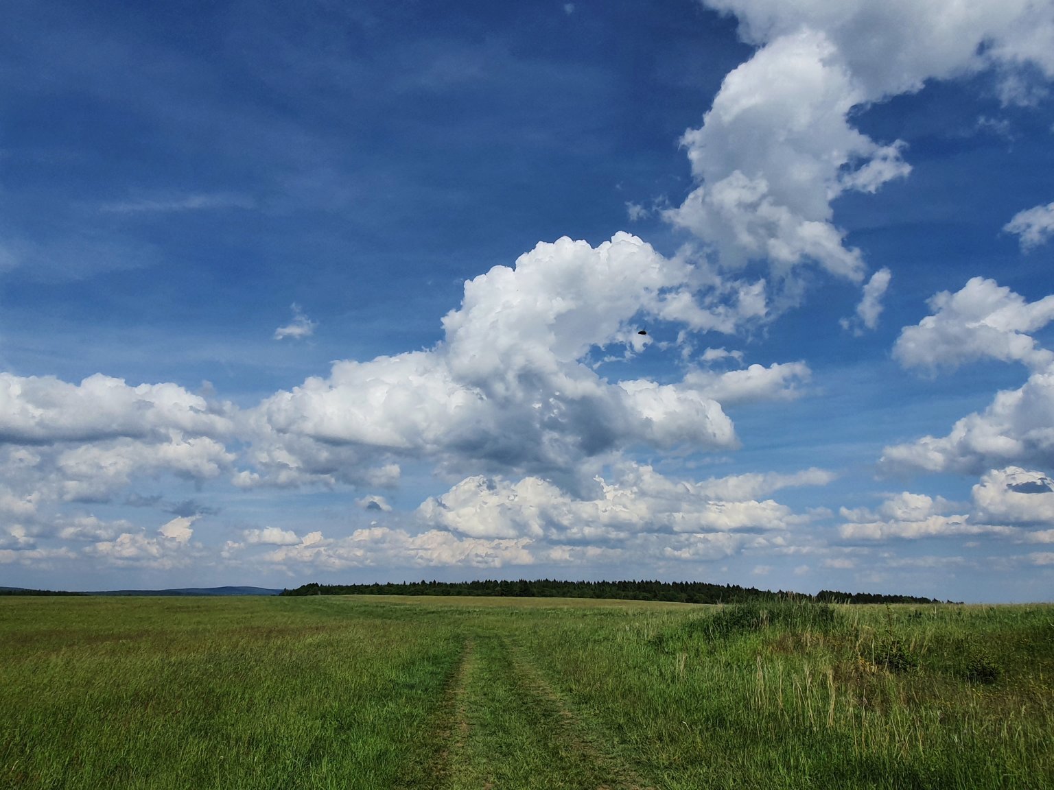 Hora Svatého Šebestiána