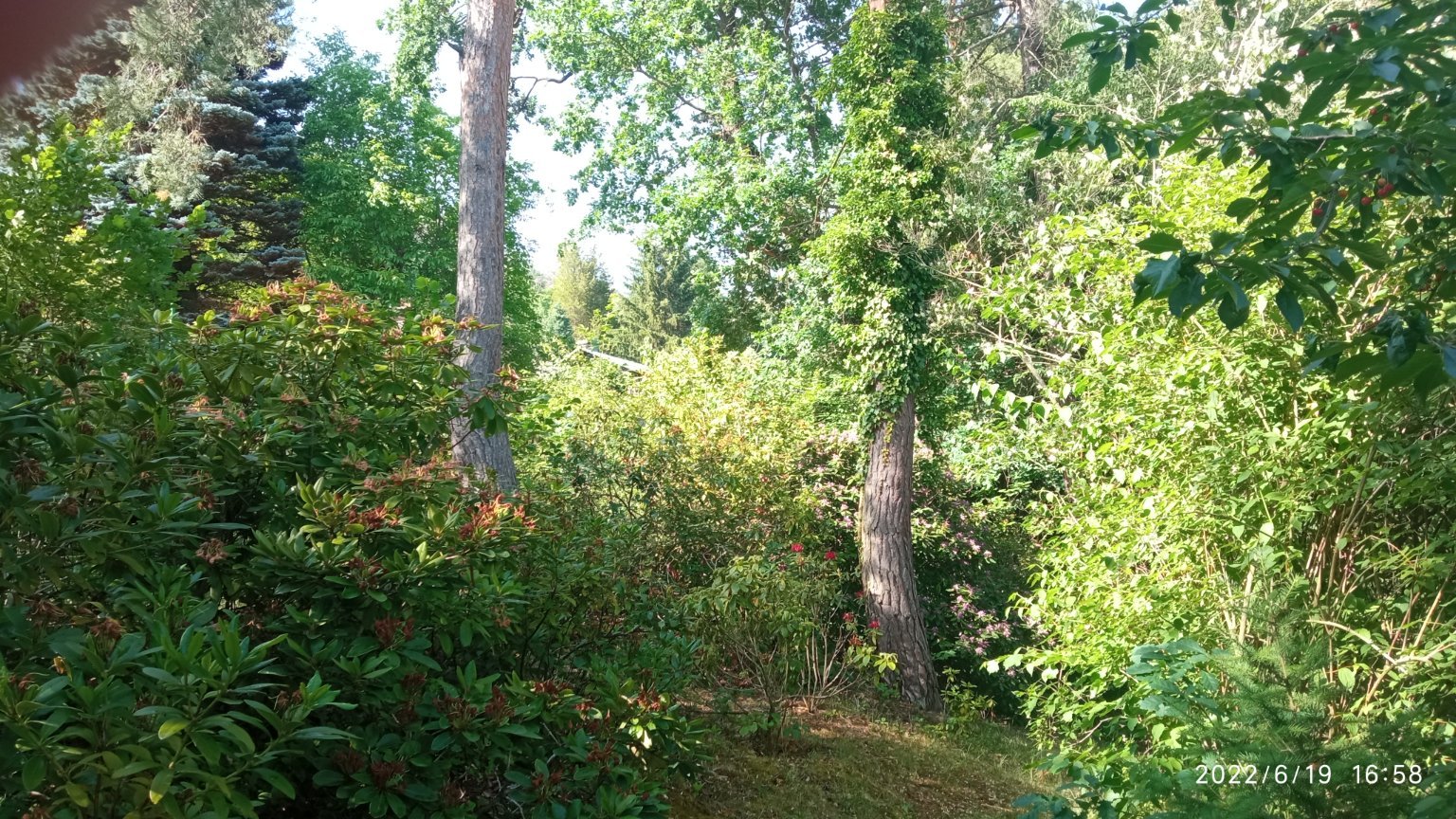 Cholín-Boubovny(Sedlčansko)