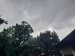 Olešná