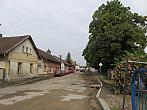 Třibřichy