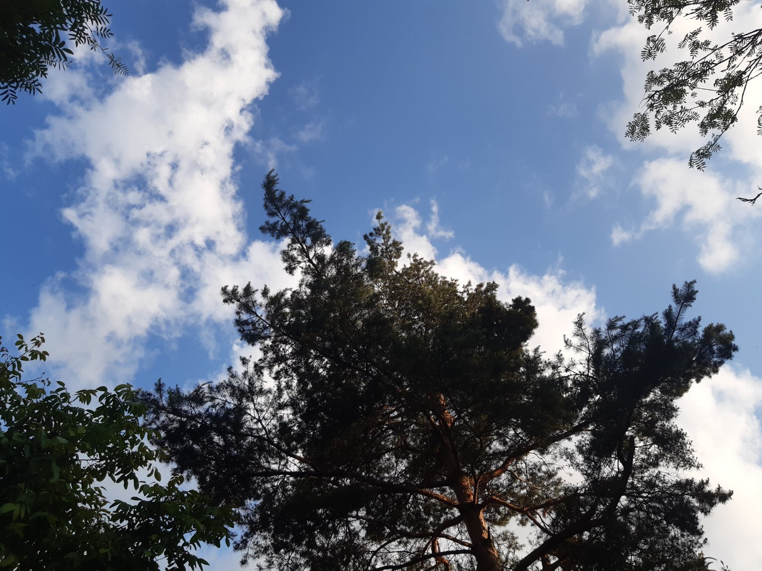 Dobrá u Frýdku-Místku