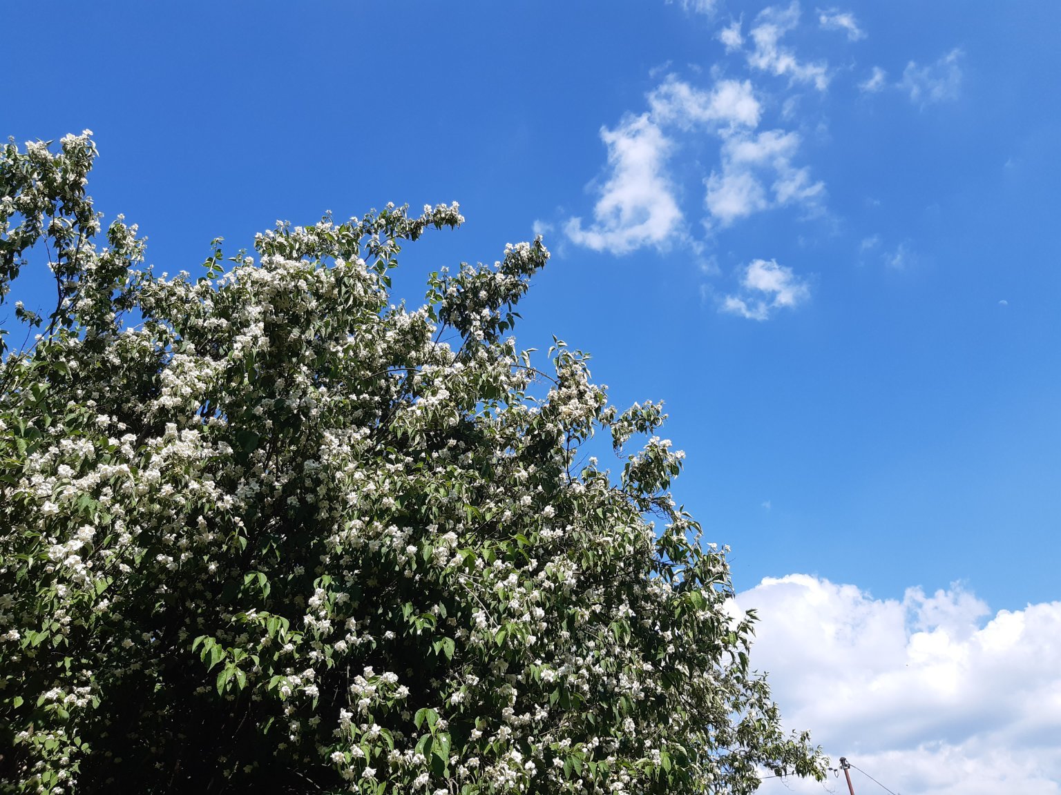 Dobrá u Frýdku-Místku