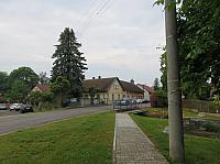 Třibřichy