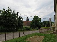 Třibřichy
