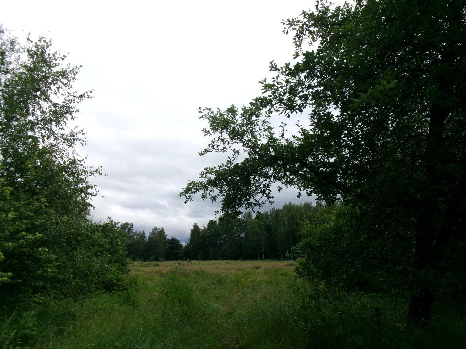 Hradec Králové - Plachta