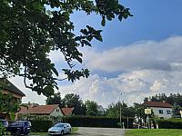 Olešná