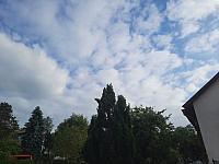 Olešná