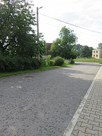 Třibřichy