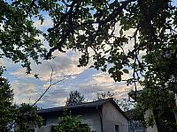 Olešná