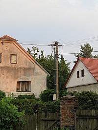Třibřichy