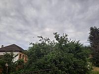 Olešná