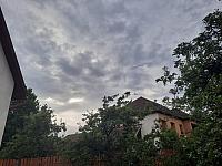Olešná