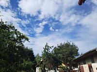 Olešná