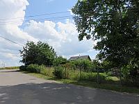 Třibřichy