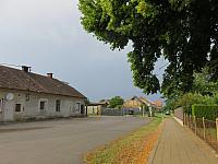 Třibřichy