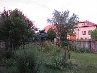 Třibřichy