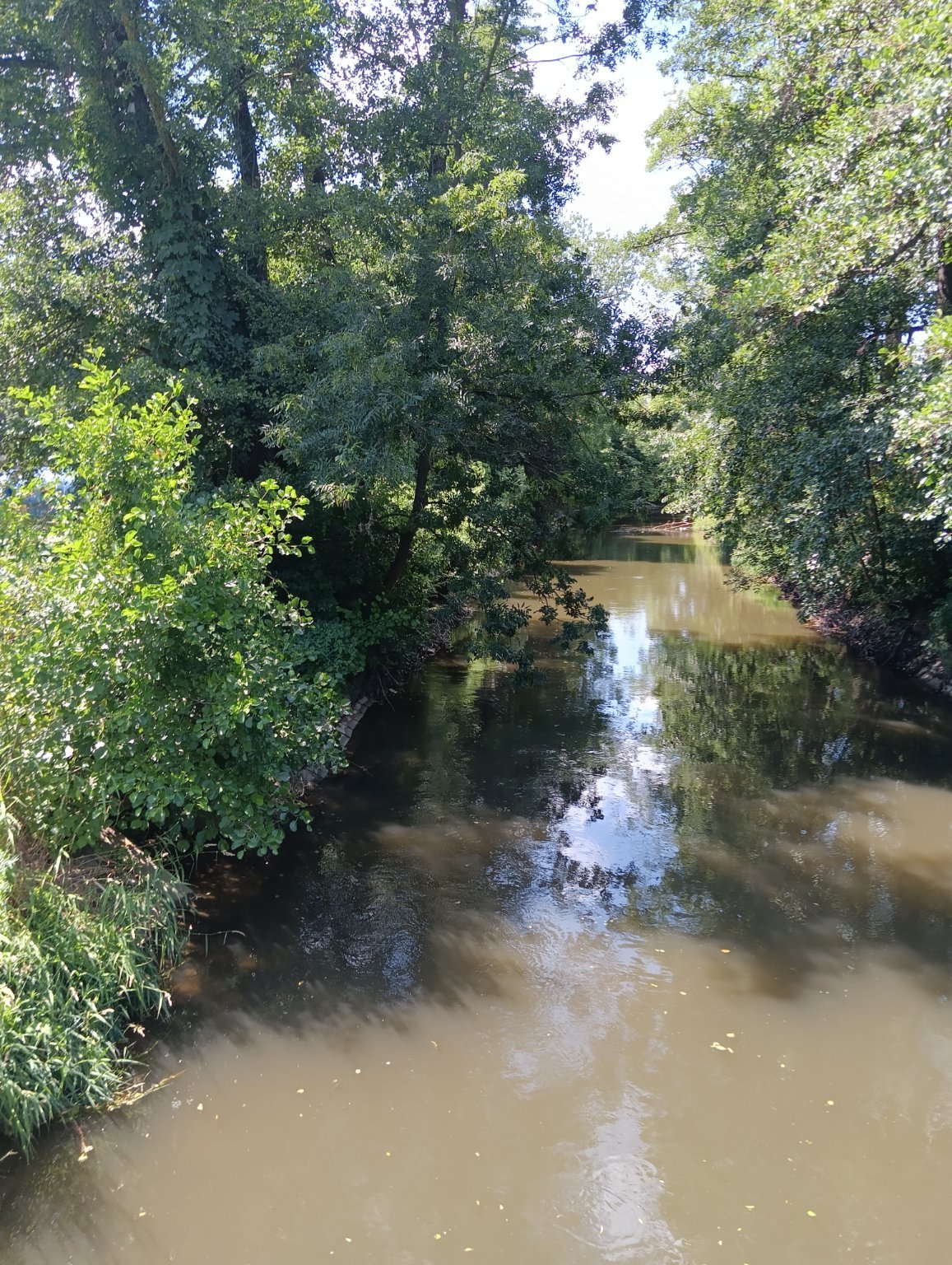 Olomouc-Mlýnský potok