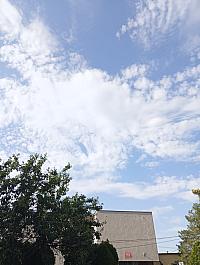 Kopřivnice, Vlčovice