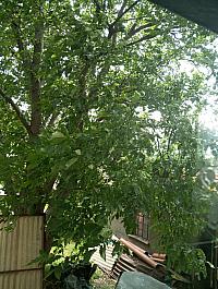 Kopřivnice, Vlčovice