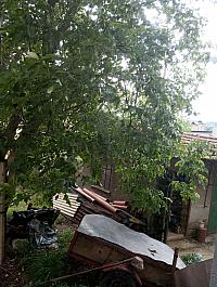 Kopřivnice, Vlčovice