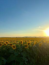 Hrnčiarovce nad Parnou