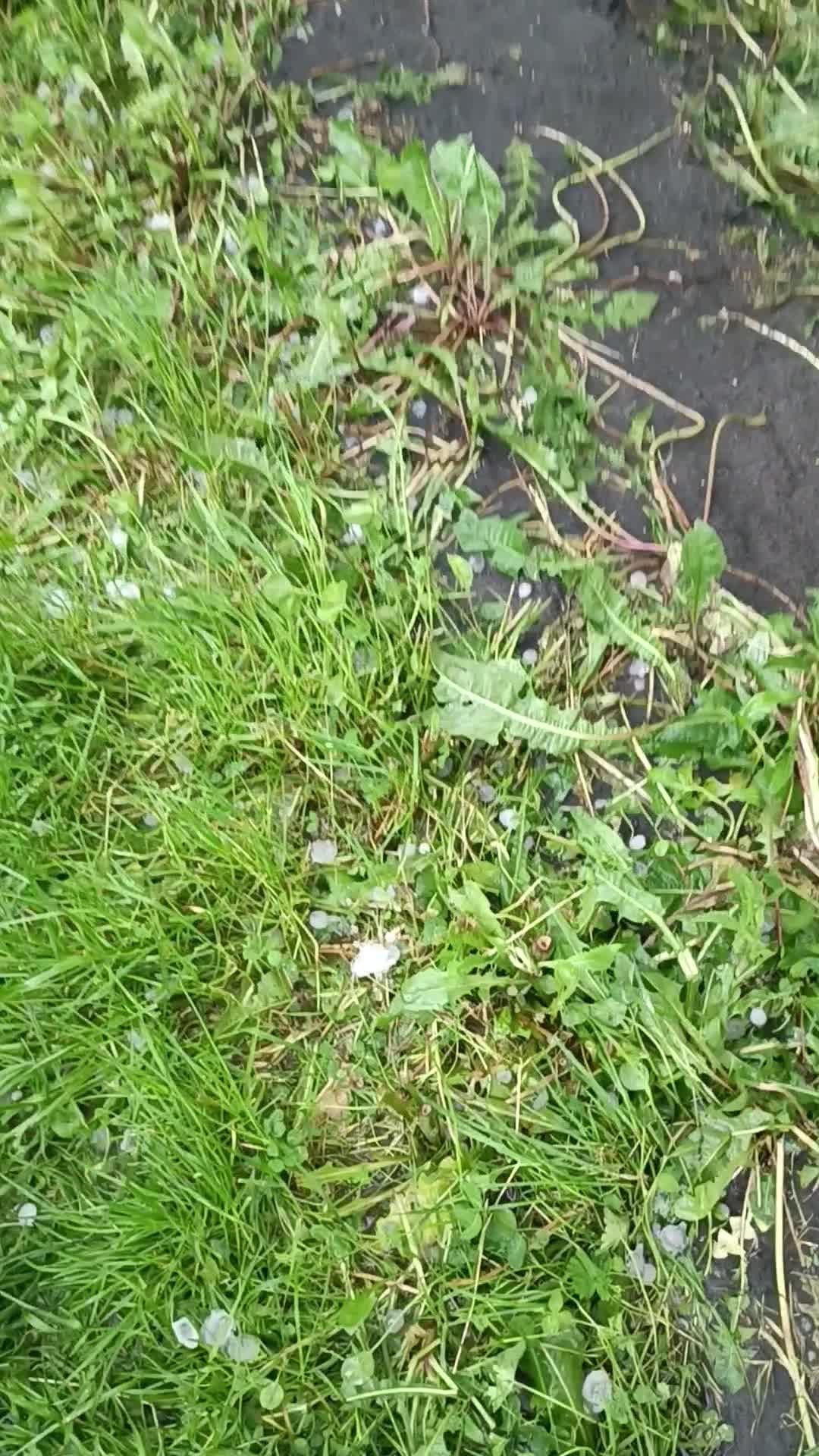 Staré Město u Frýdku-Místku