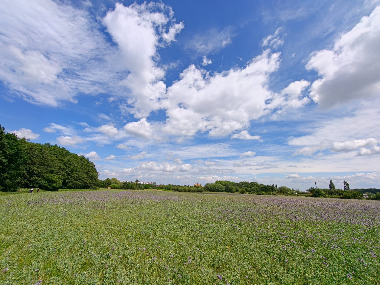 Chomutov