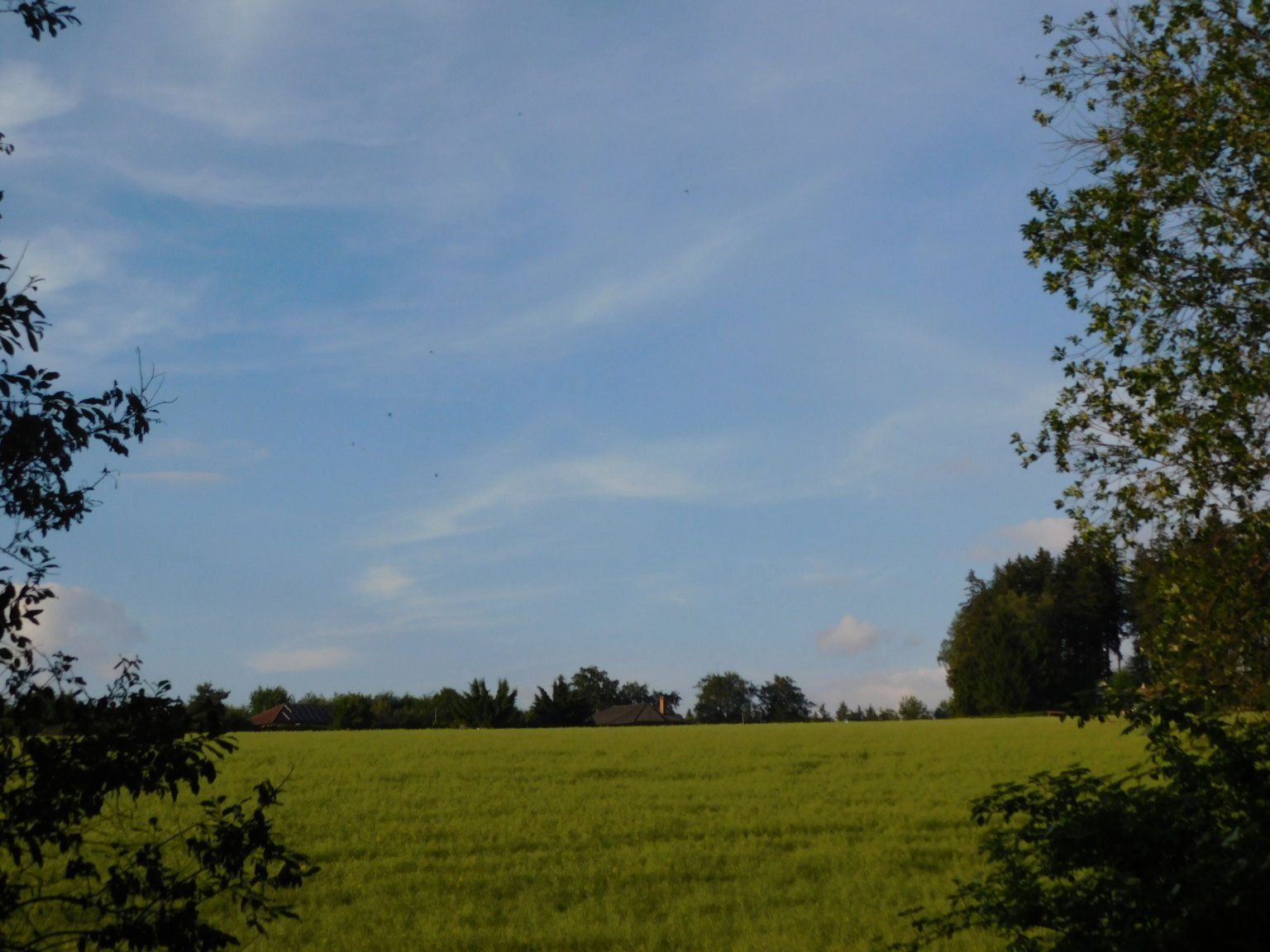 Němčice Zhoř