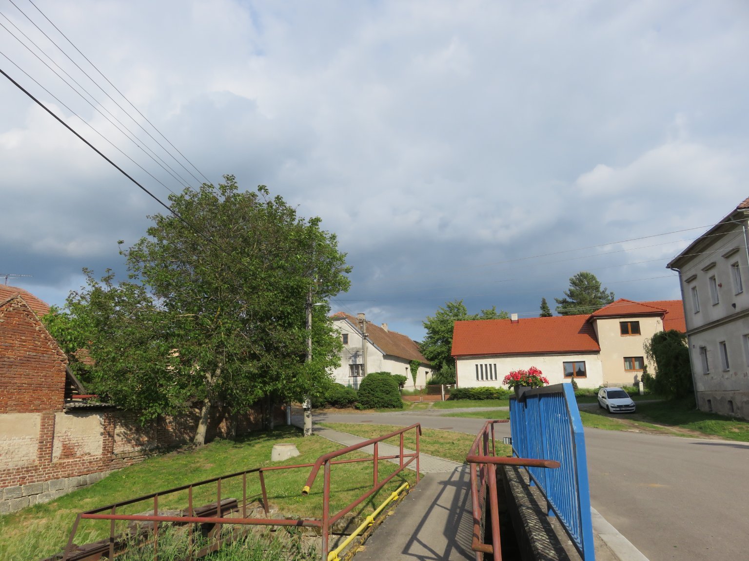 Třibřichy