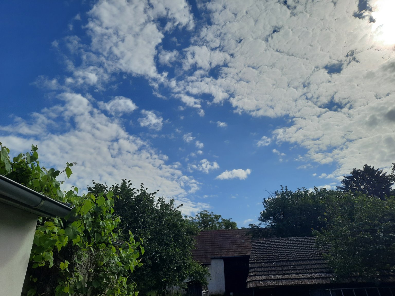 Mezná 