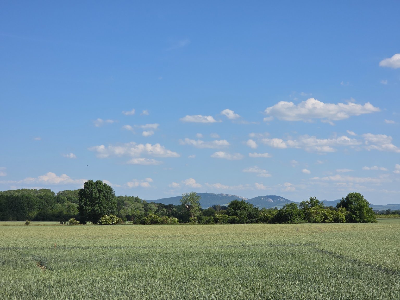 Pohořelice