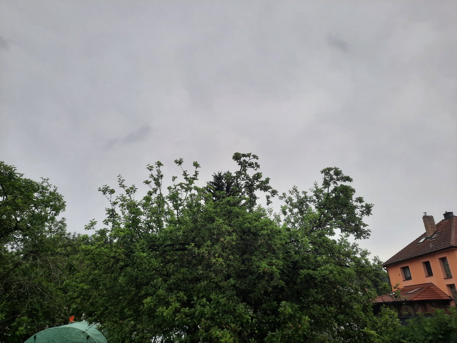 Olešná