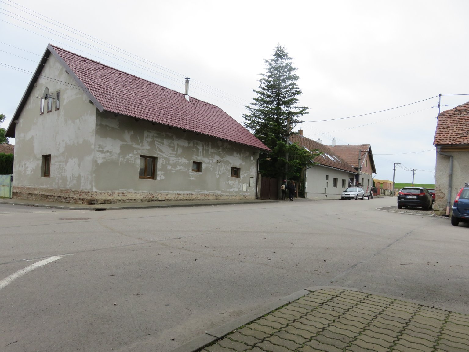 Třibřichy