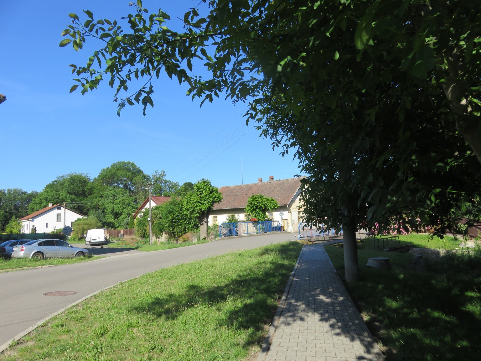 Třibřichy