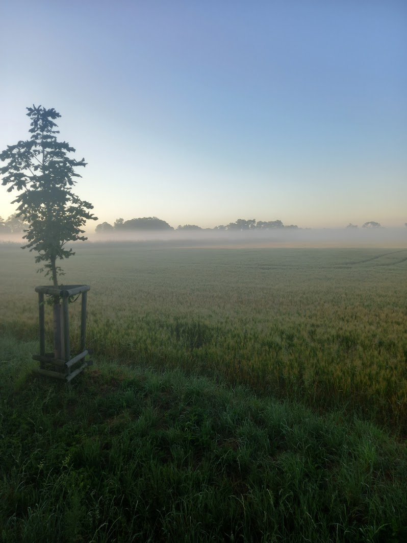 Svatý Mikuláš