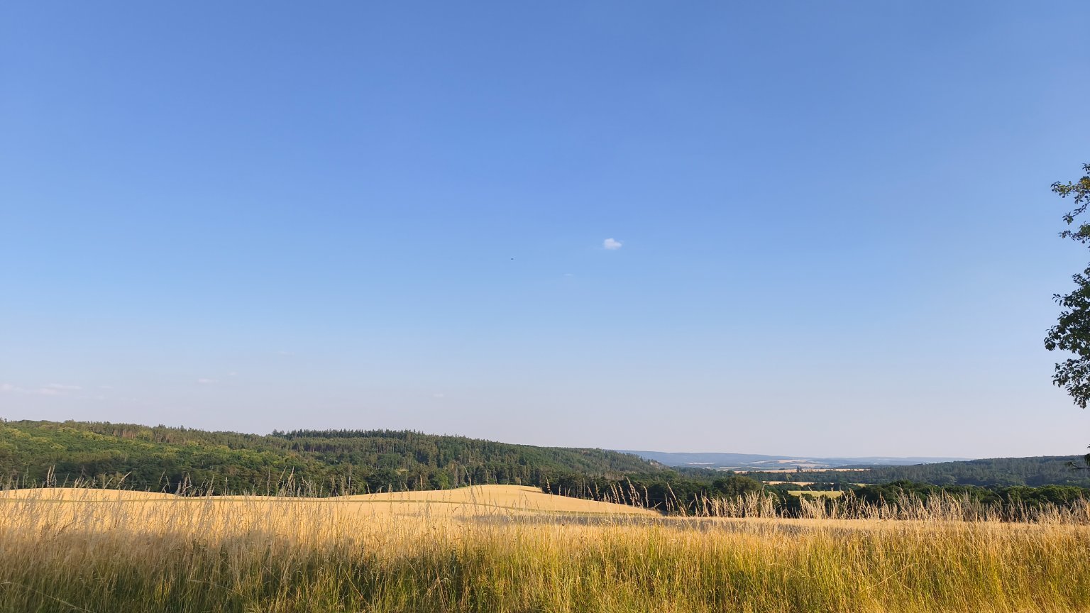 Lukovany