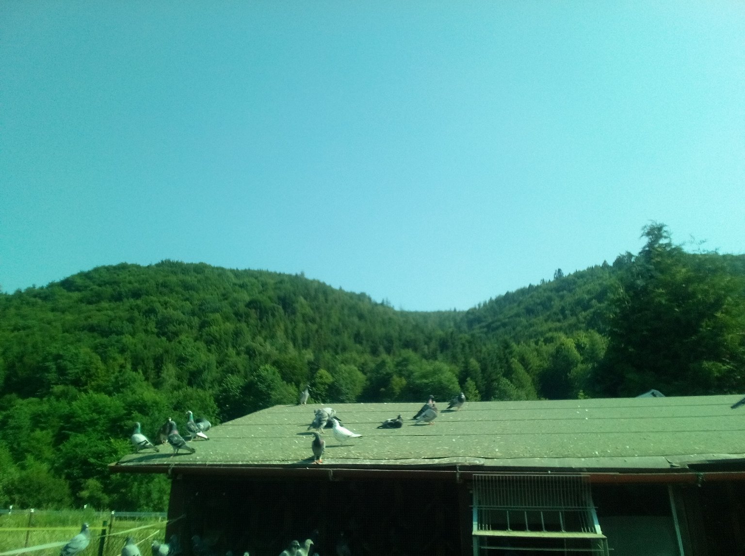 Stará Bystrica