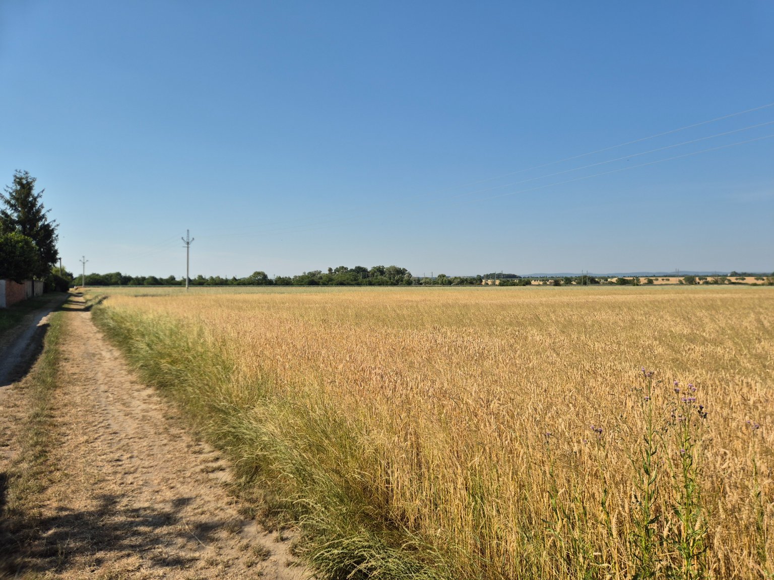 Císařov