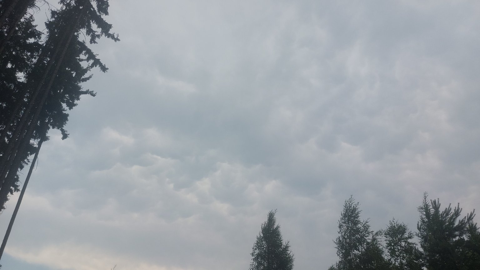 Nemojov