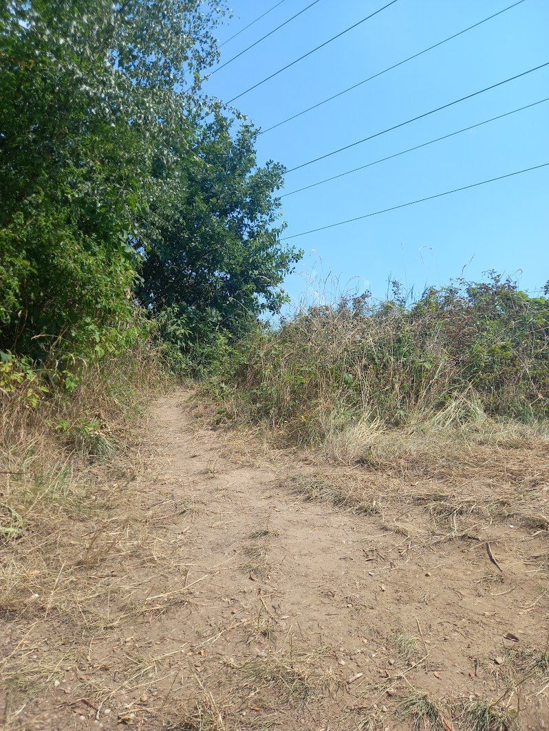 Svatý Mikuláš