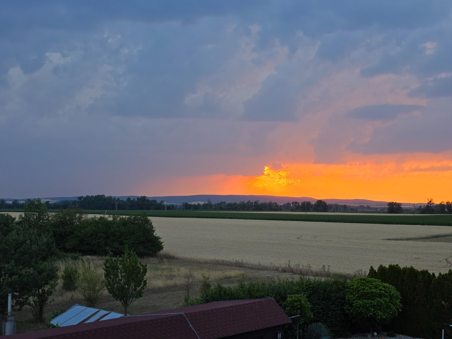 Odrovice