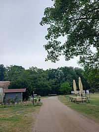 Fotografie