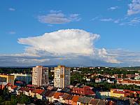 image_1016077.jpg