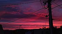 image_1016792.jpg